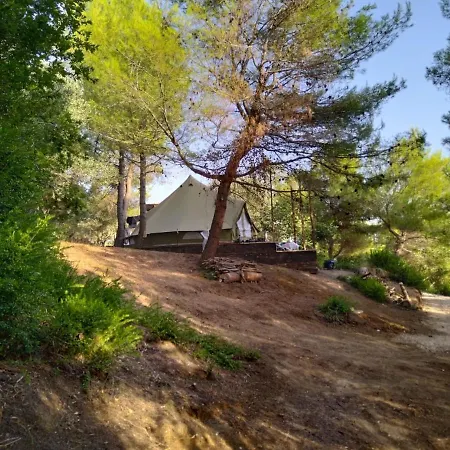 Zelt 3 Camp West