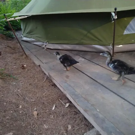 Zelt 3 Camp West *